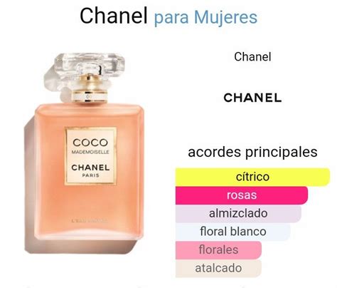 coco mademoiselle chanel notas olfativas|coco mademoiselle perfume Chanel.